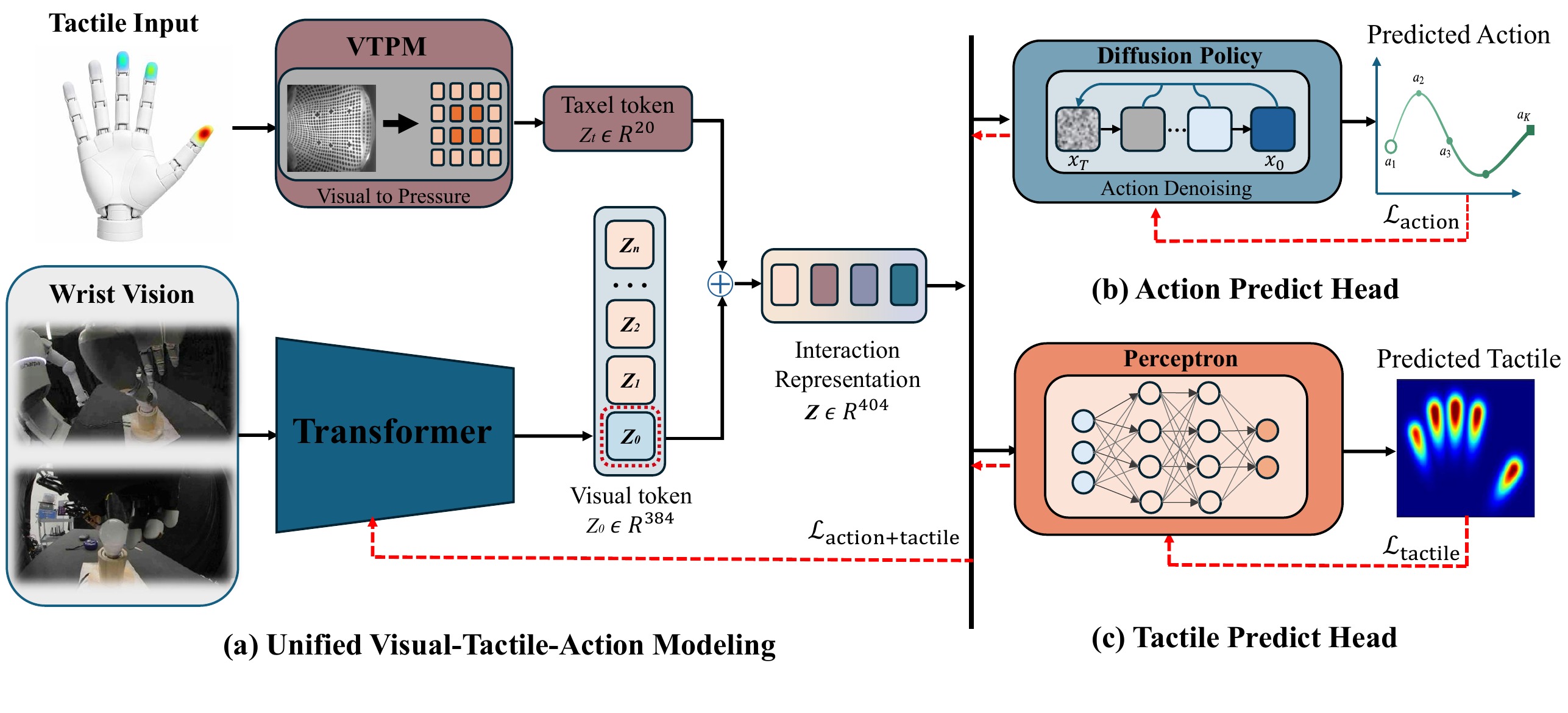 Unified Visual-Tactile-Action model architecture